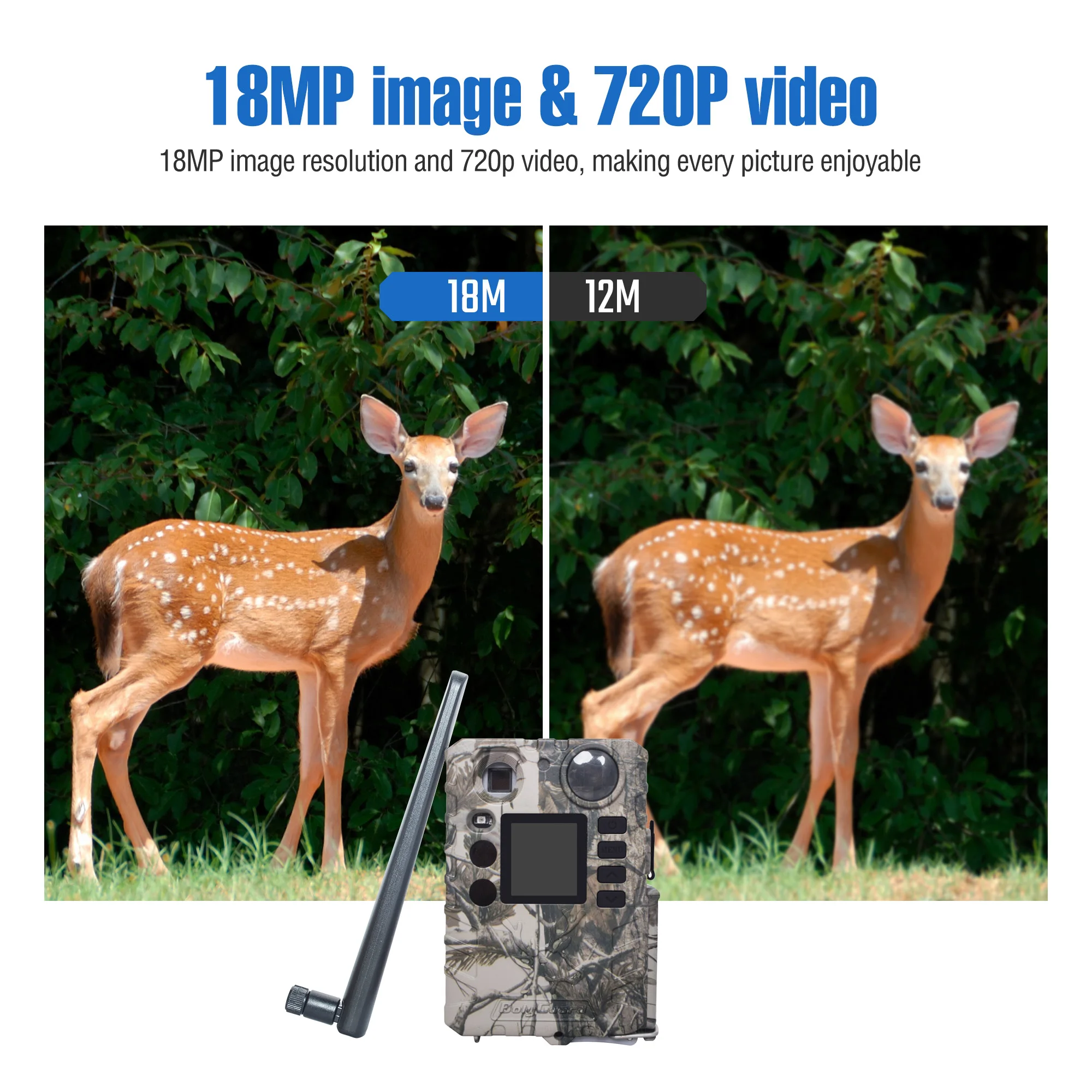 BolyGuard 2025 BG310-M 18MP 720P Trail Camera 940nm IR Night Vision, 4G Wireless, Outdoor Hunting Camera+gift 32GB TF - Image 4