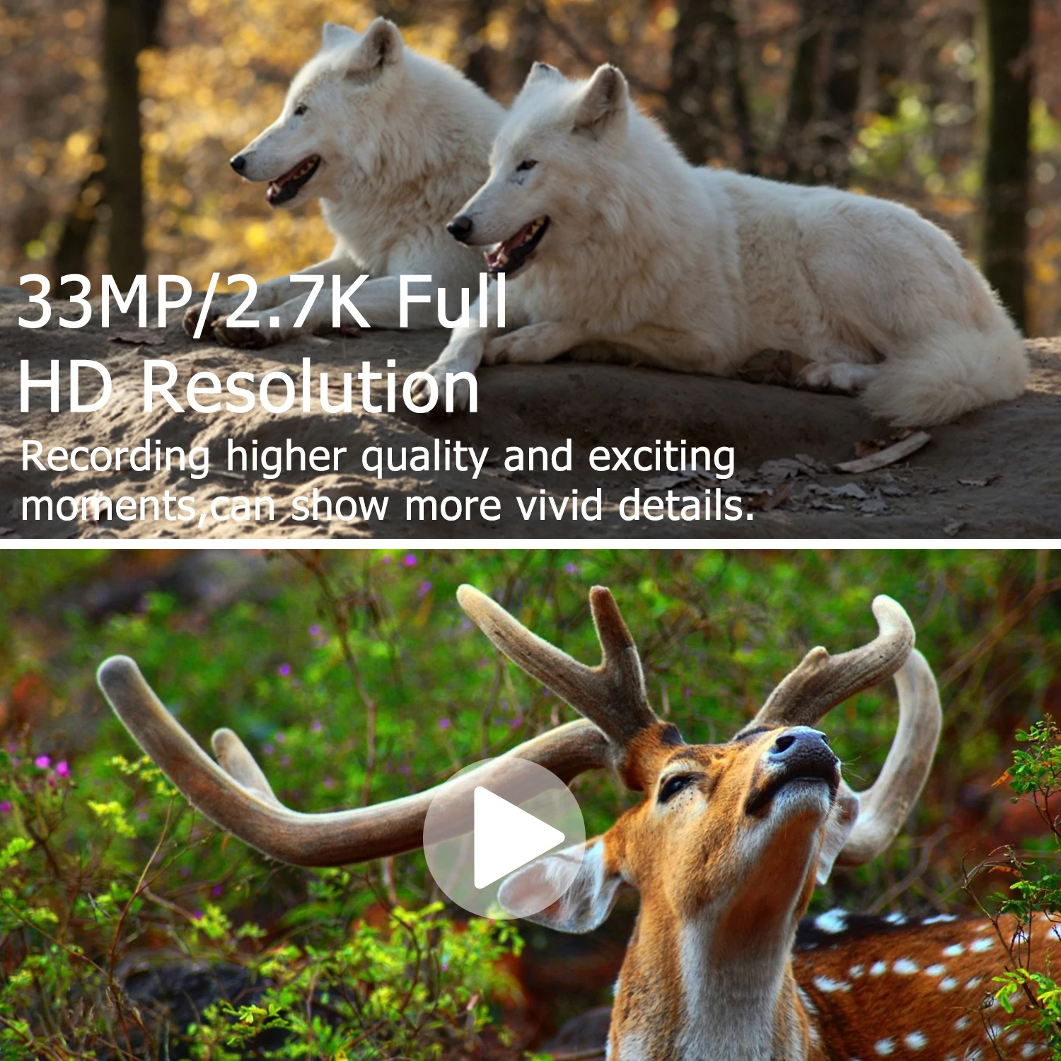BolyGuard BG410-M 2.7K HD 33MP Cellular Trail Camera 940nm IR Night Vision, 4G Wireless, Outdoor Hunting Camera+gift 32GB TF - Image 4