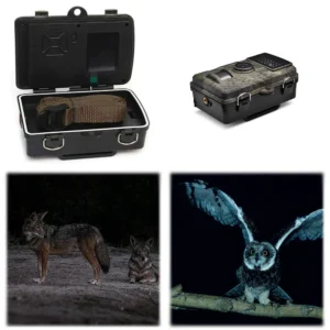 Hunting Trail Camera Waterproof Infrared Night Vision Security Cam Motion Activated Wildlife Camera Outdoor Wildlife Photo Traps
