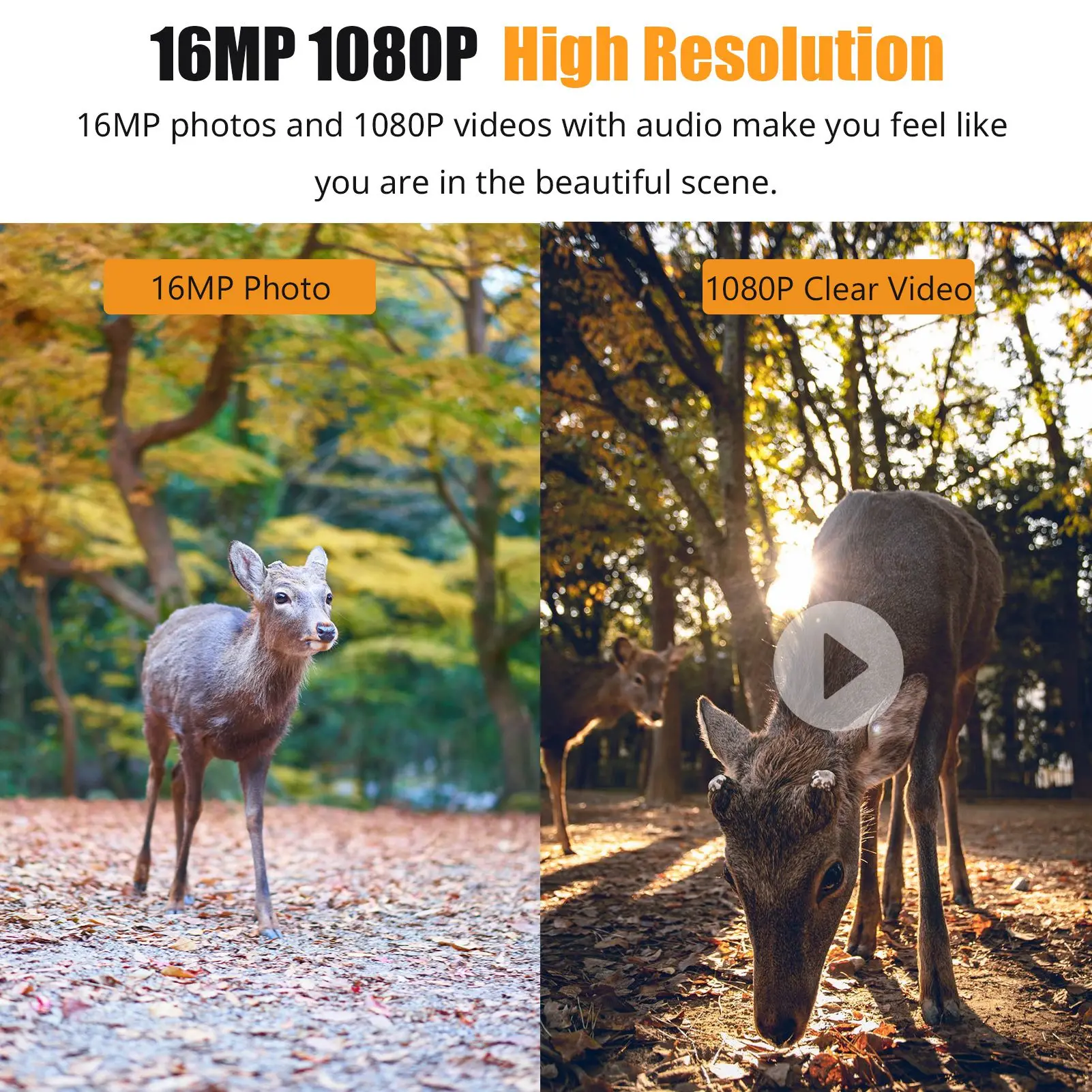 game camera 1080P Hunting Camera 2.0in LCD 16MP Infrared Night Vision Mobile Monitoring IP66 Waterproof Trail Camera - Image 5